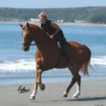 Lisa Thomas horseback riding on the beach