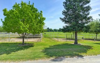 10240-10250 Kost Road Galt Horse Property 43