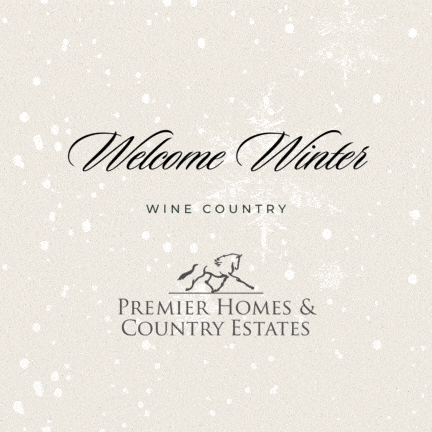 welcome winter premier horse