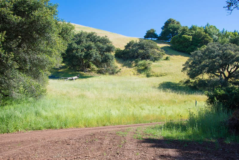 Bennett Vista Place Santa Rosa Horse Property