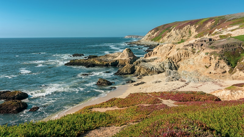 Bodega Bay beach