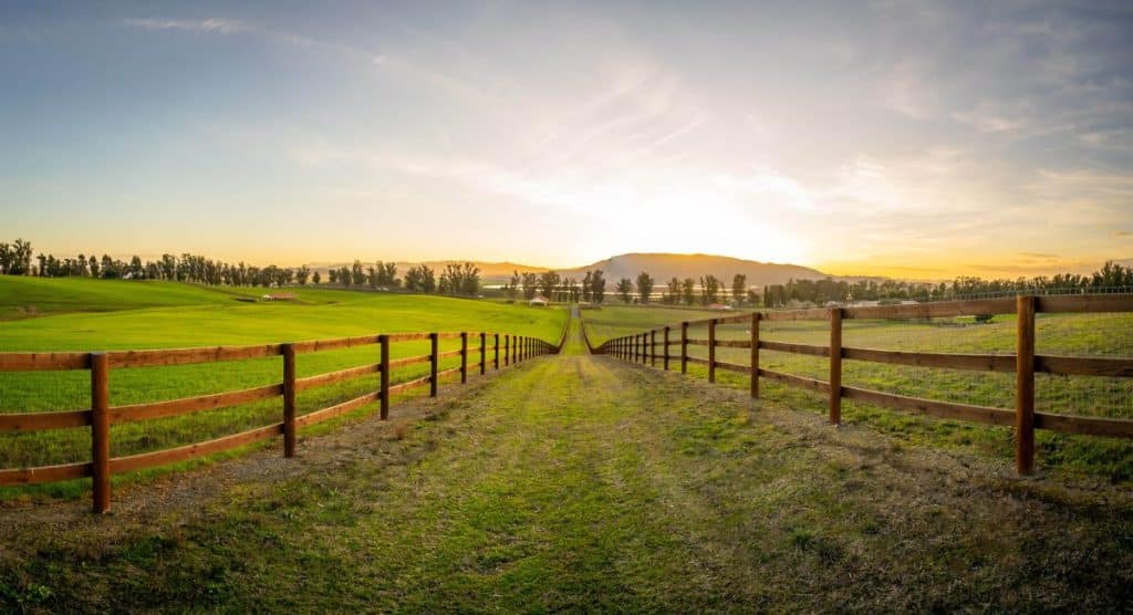 Country Estates Lakeville 3