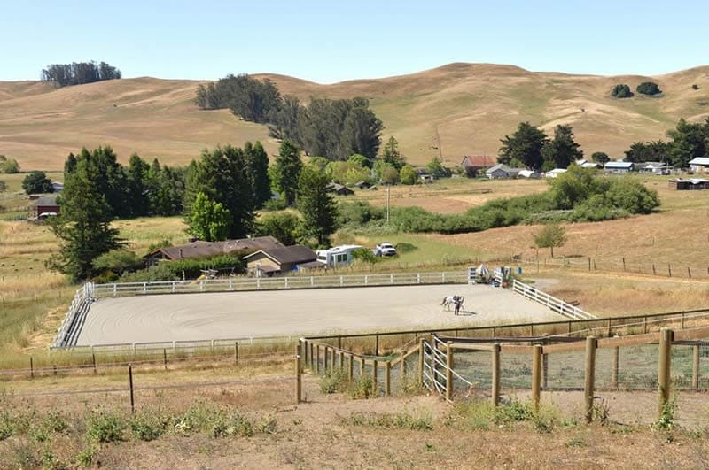 horse farm