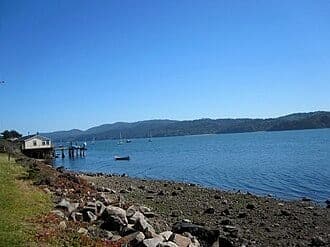 Marshall California shoreline