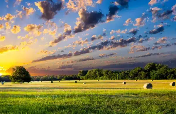 beautiful sky