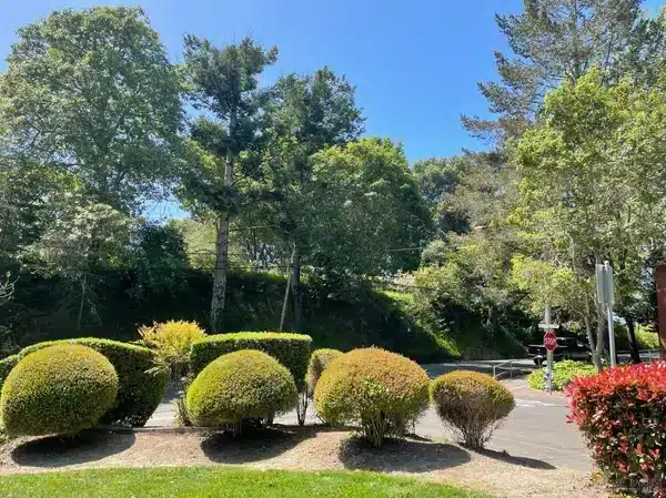 105 Virginia Avenue #1, Sebastopol