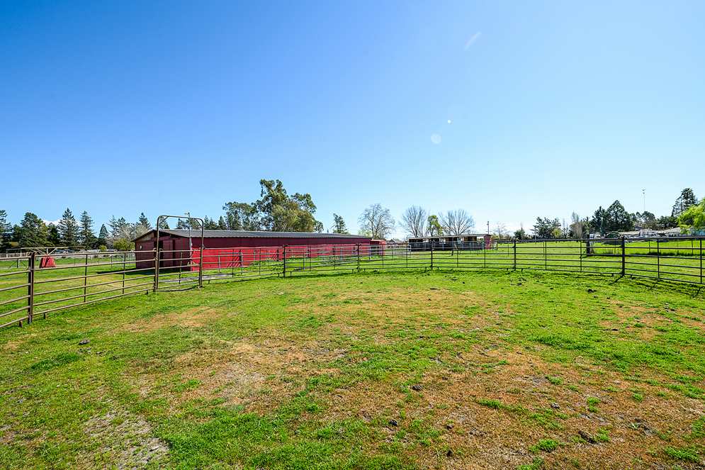225-Scenic-Avenue-Santa-Rosa-Horse-Property-07