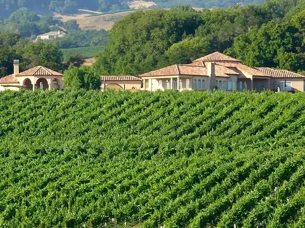 2420 Mountain Ranch Rd, Petaluma
