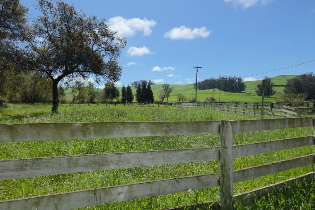 West Petaluma Equestrian Ranchette